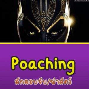 Screen Shot 2565-11-20 at 09.04.31_11zon