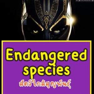 Screen Shot 2565-11-20 at 09.05.10_11zon